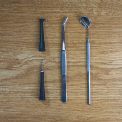 OralVibe™ ProDental Sonic Scaler